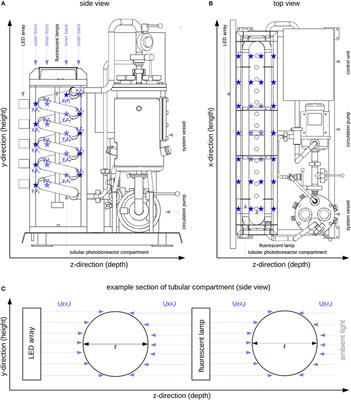 Experimental and Model-Based Analysis to Optimize Microalgal Biomass Productivity in a Pilot-Scale Tubular Photobioreactor